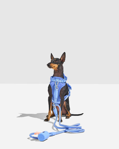 Harness Walk Kit