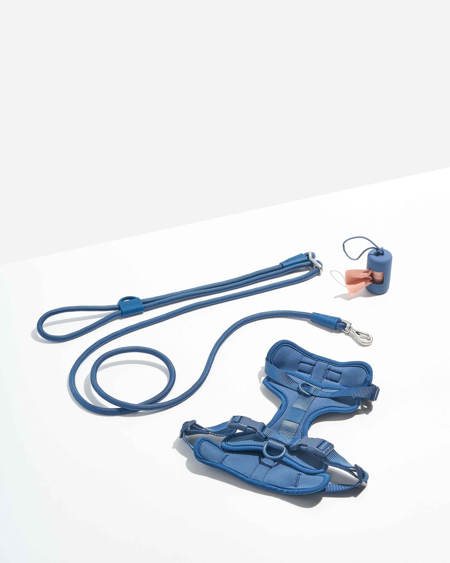 Harness Walk Kit